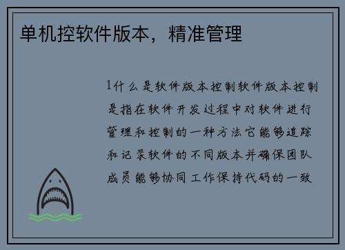 单机控软件版本，精准管理